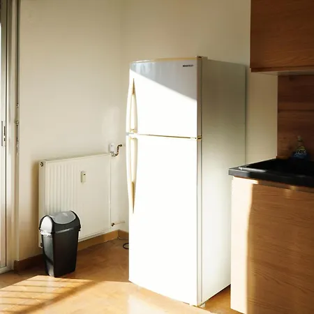 Apartement Saint Louis Train Station- Euroairport- Basel Extérieur photo